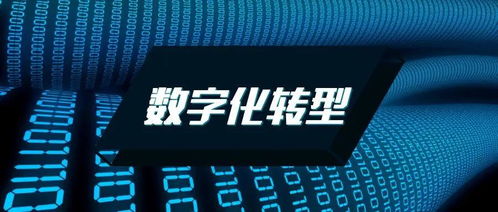 企业数字化转型 势在必行之路与Datatist的数字化赋能角色